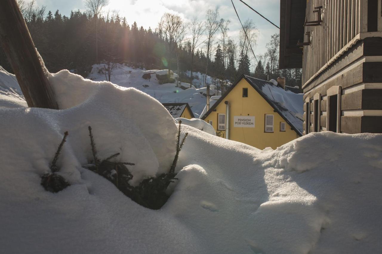 Pension Pod Vlekem Janov nad Nisou Exteriör bild