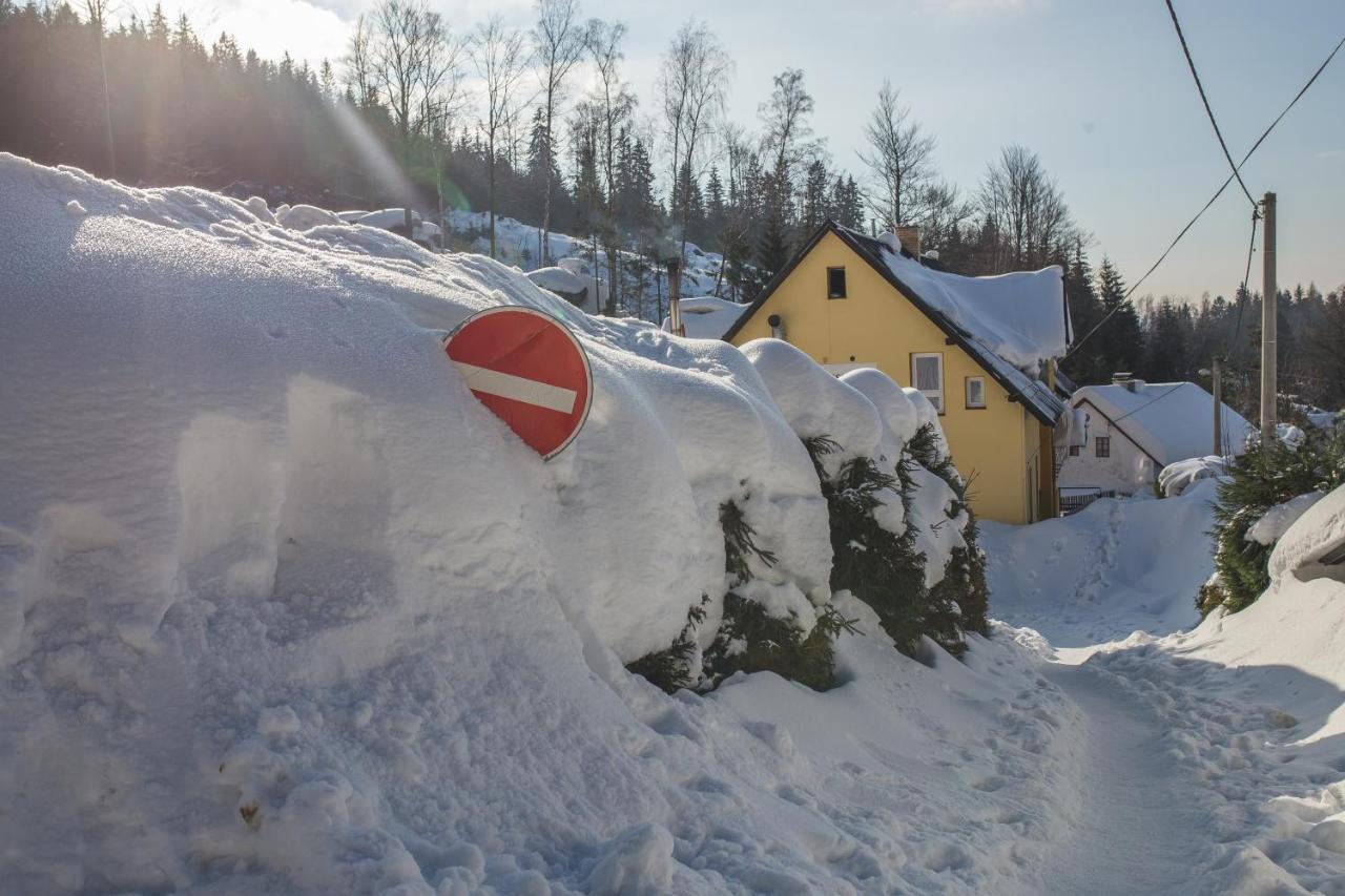 Pension Pod Vlekem Janov nad Nisou Exteriör bild
