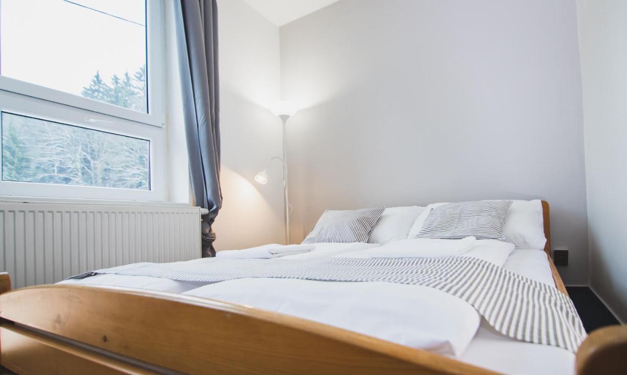 Pension Pod Vlekem Janov nad Nisou Exteriör bild