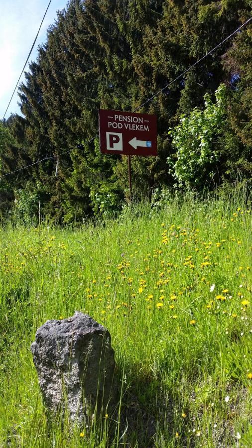 Pension Pod Vlekem Janov nad Nisou Exteriör bild