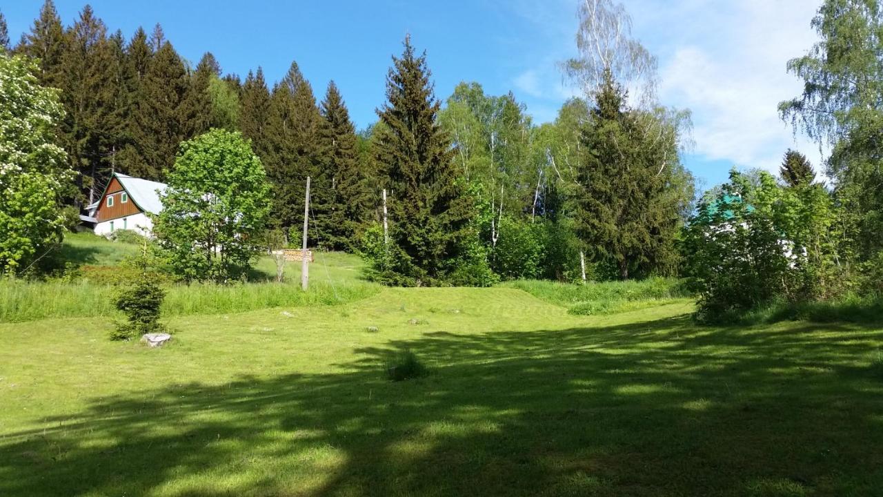 Pension Pod Vlekem Janov nad Nisou Exteriör bild