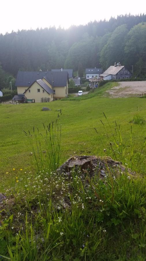 Pension Pod Vlekem Janov nad Nisou Exteriör bild