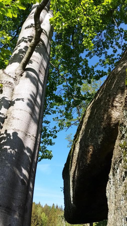 Pension Pod Vlekem Janov nad Nisou Exteriör bild