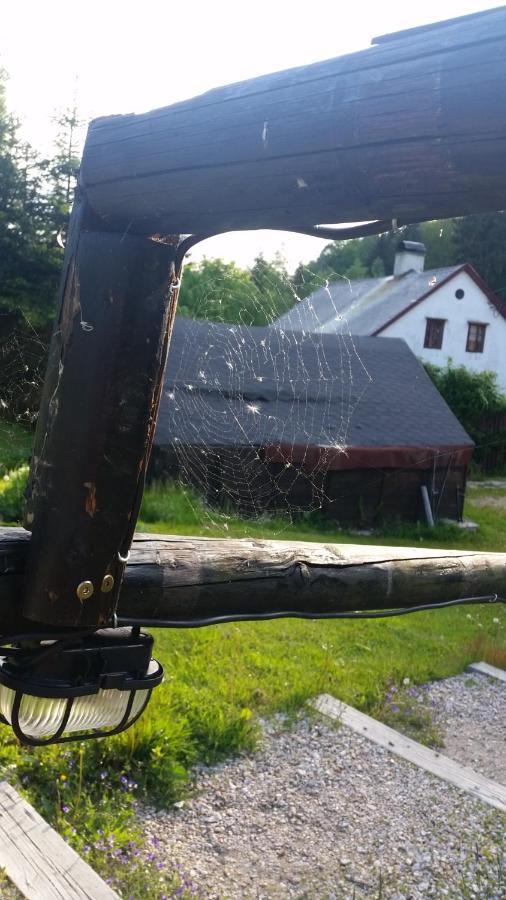 Pension Pod Vlekem Janov nad Nisou Exteriör bild